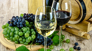 Vin provningar etc